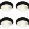 Aplique Tortuga Pared Redonda Pvc Exterior Canda Pack X 4