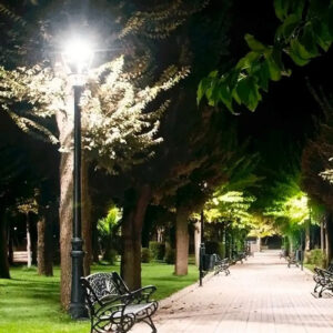 Lampara Led Bulbon 30w Alta Potencia Luz Fria Pack X 4 Lion